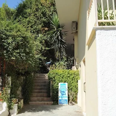 Hotel The Delfini 2*