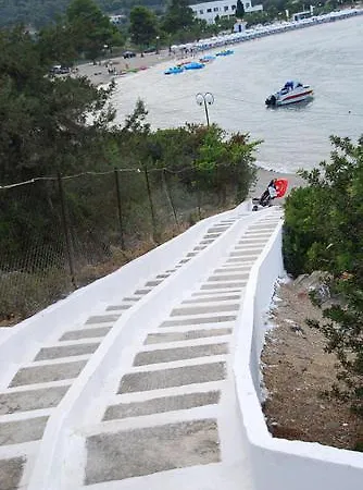 Hotel The Delfini Agia Marina (Aegina)