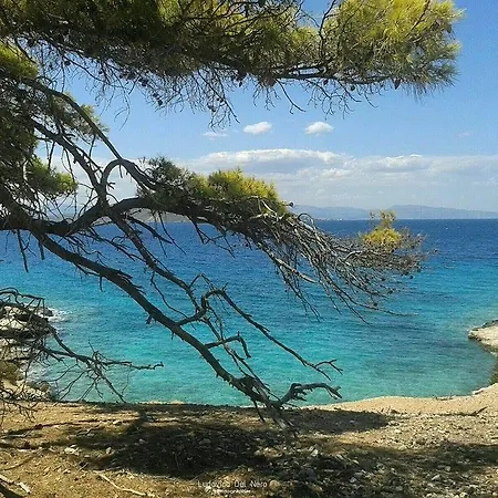 The Delfini 2* Agia Marina (Aegina)